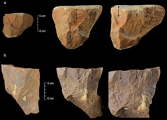 Ученые нашли в Индии очень древние орудия труда первых людей 
